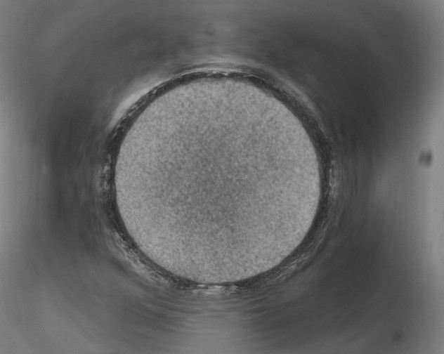 X0000115611352200912221158