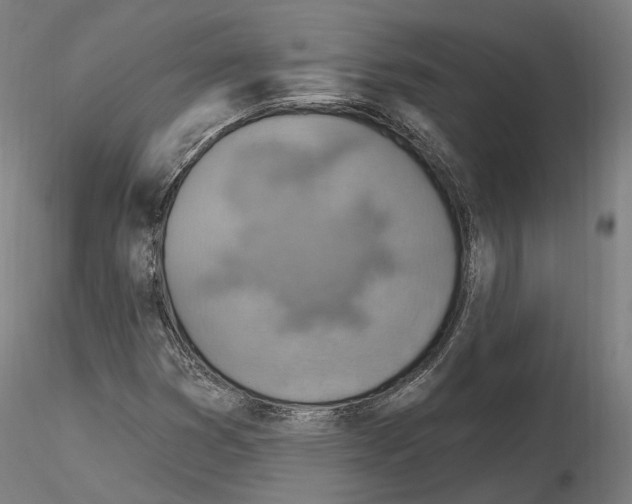 X0000115611353200912221158