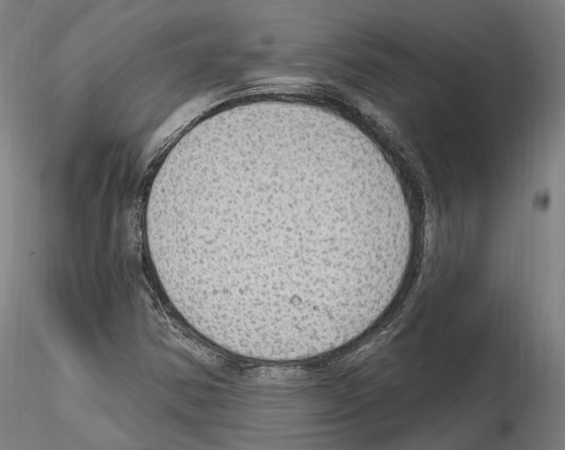 X0000115611354200912221158