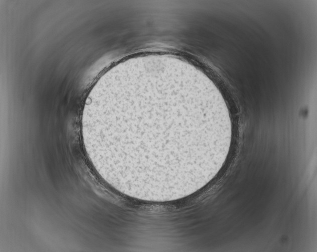X0000115611355200912221158