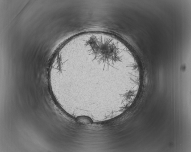 X0000115611356200912221158