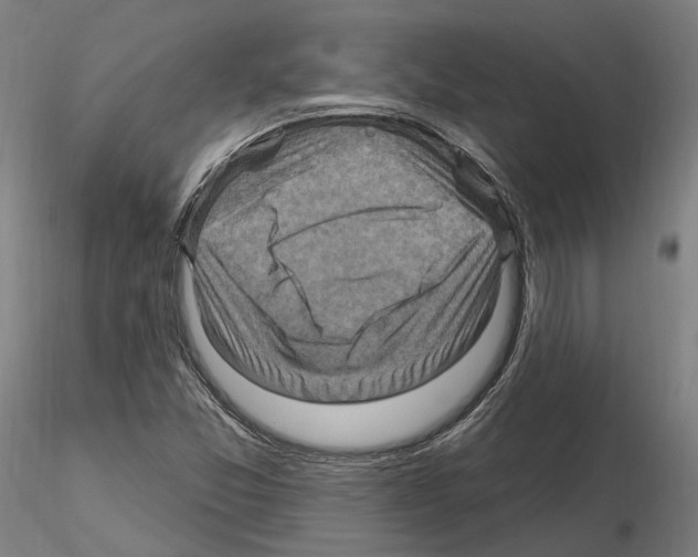 X0000115611357200912221158