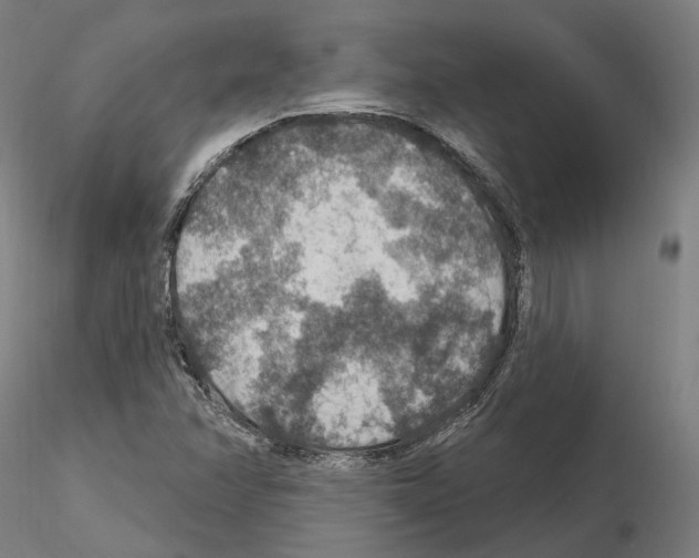X0000115611358200912221158