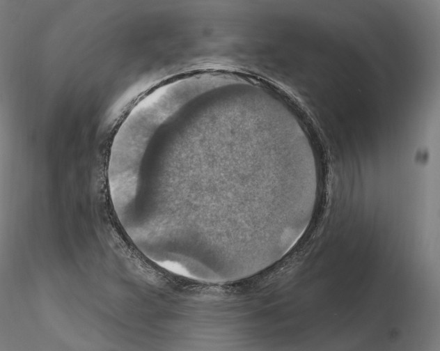 X0000115611359200912221158