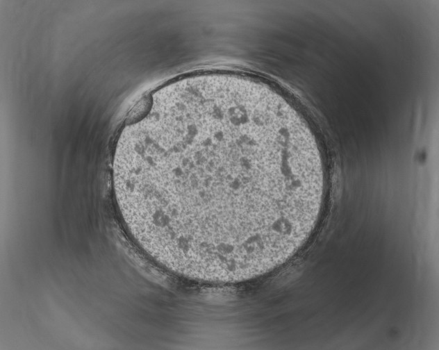 X0000115611363200912221158