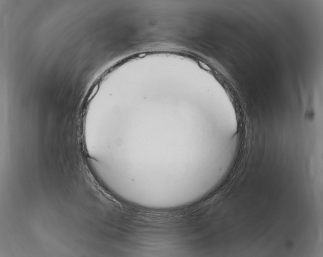 X0000115611364200912221158