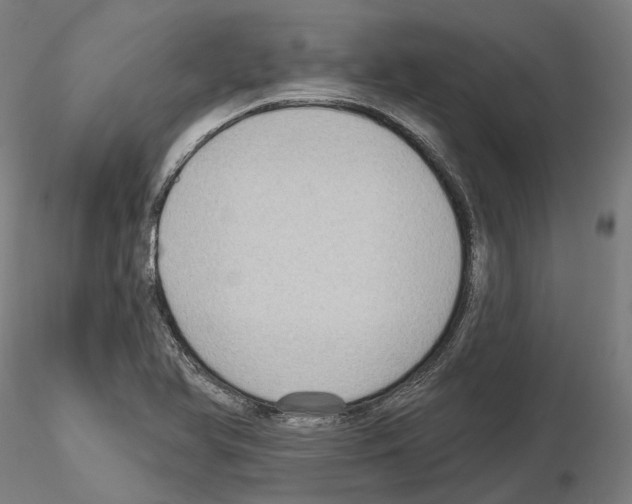 X0000115611366200912221158