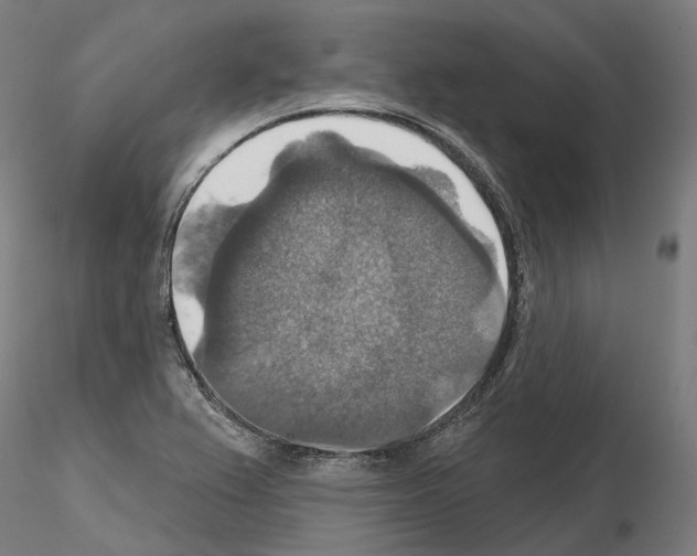 X0000115611367200912221158