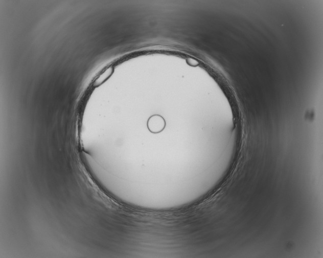 X0000115611368200912221158