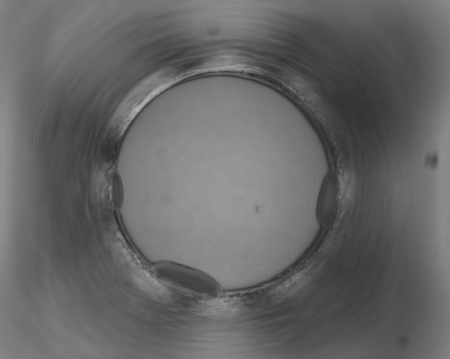 X0000115611369200912221158