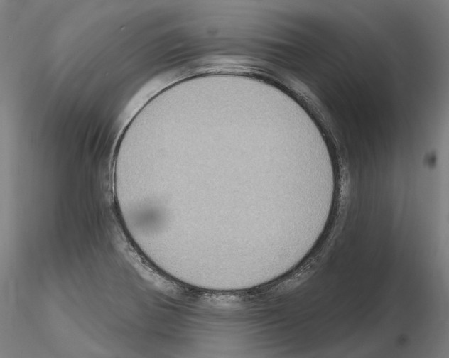 X0000115611370200912221158