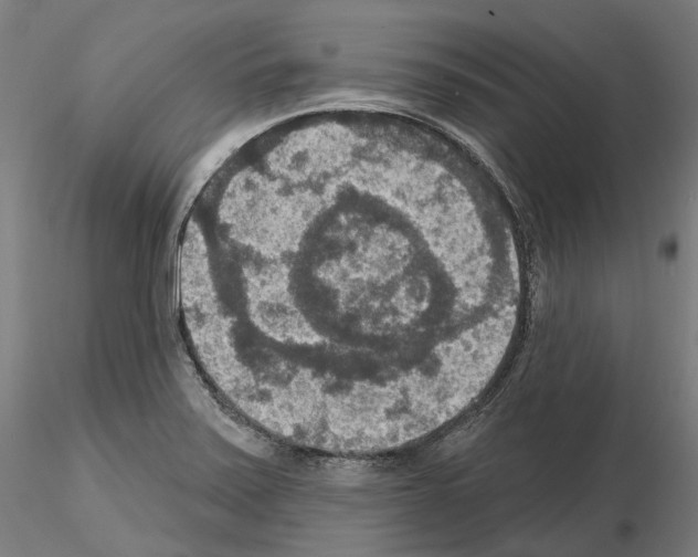 X0000115611371200912221158