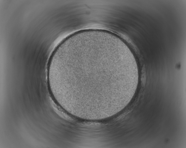 X0000115611372200912221158