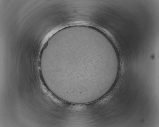 X0000115611373200912221158