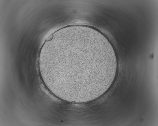 X0000115611374200912221158