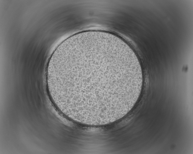 X0000115611375200912221158