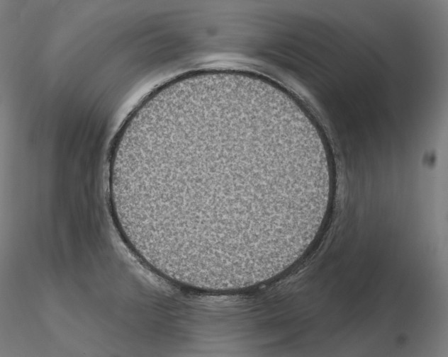 X0000115611376200912221158