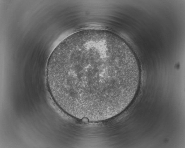 X0000115611378200912221158