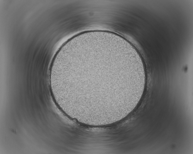 X0000115611380200912221158