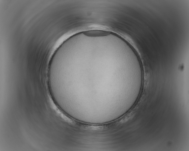 X0000115611381200912221158
