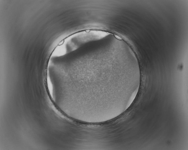 X0000115611383200912221158