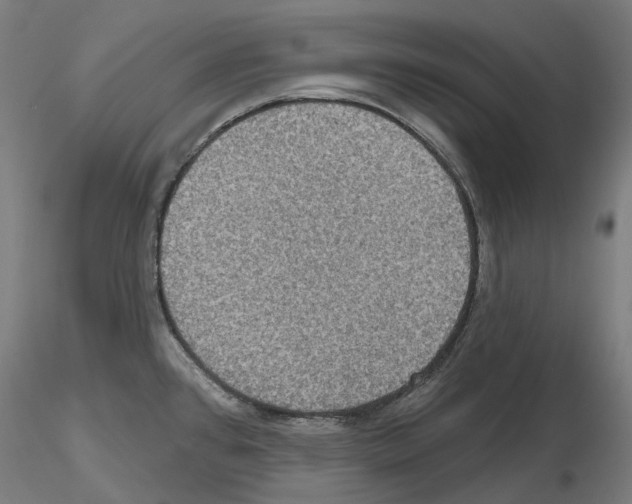 X0000115611384200912221158