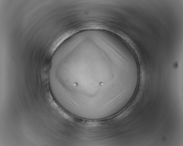 X0000115611385200912221158