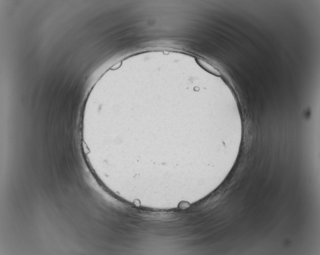 X0000115611387200912221158