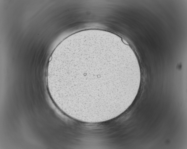 X0000115611391200912221158