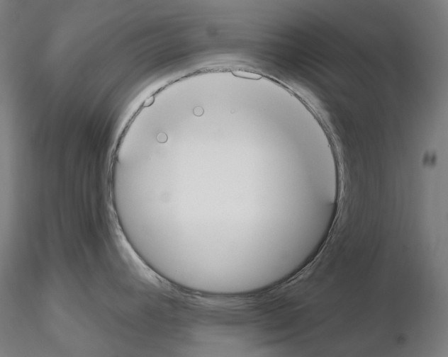 X0000115611392200912221158