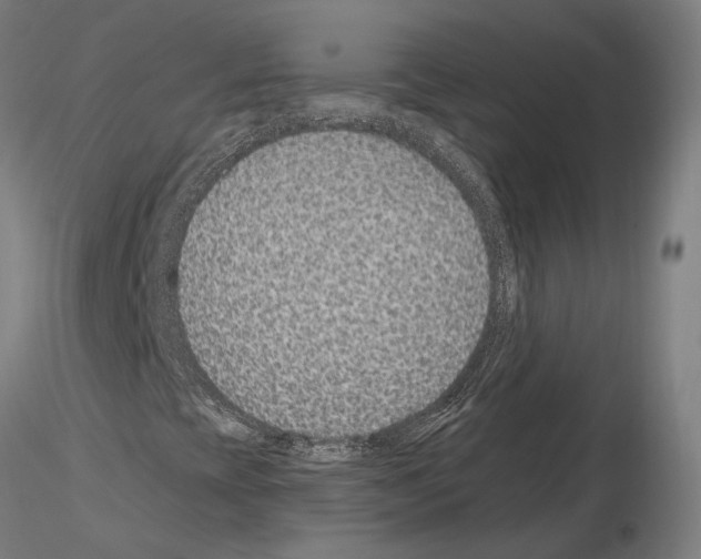 X0000115611393200912221157