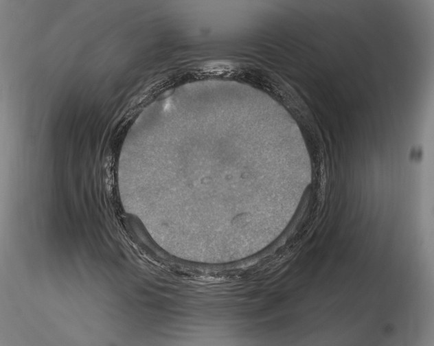 X0000115611394200912221157