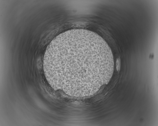 X0000115611395200912221157