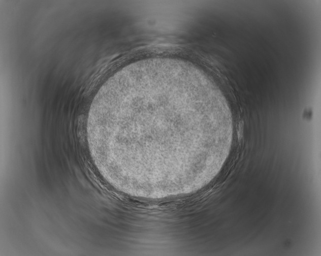X0000115611396200912221157