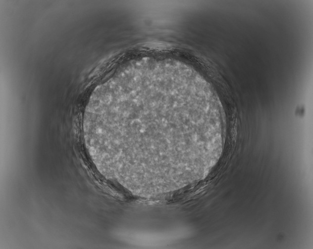 X0000115611397200912221157