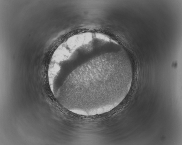 X0000115611398200912221157