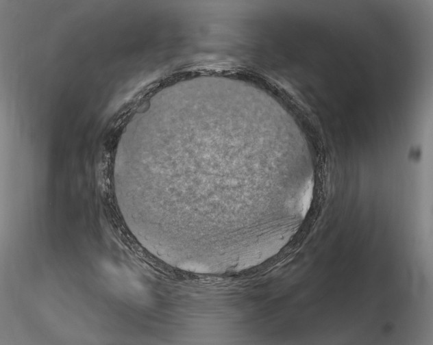 X0000115611399200912221157