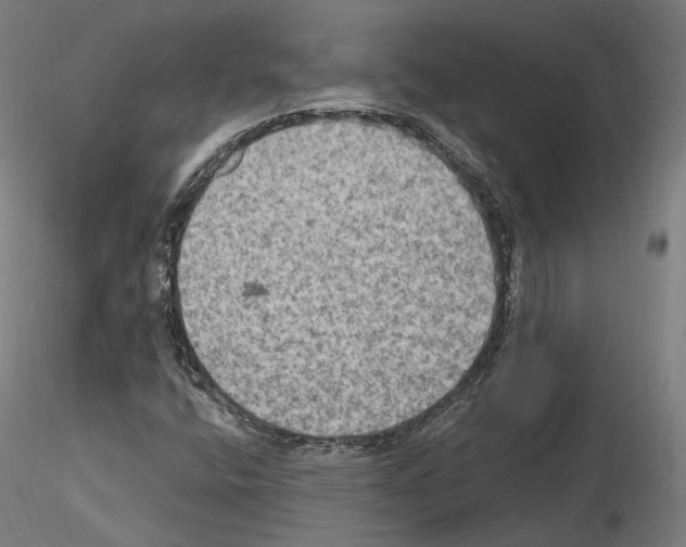 X0000115611400200912221157