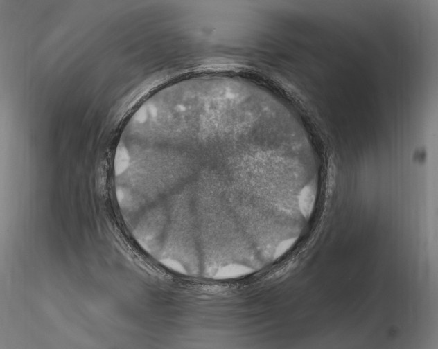 X0000115611401200912221157