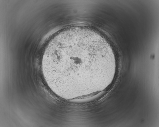 X0000115611402200912221157
