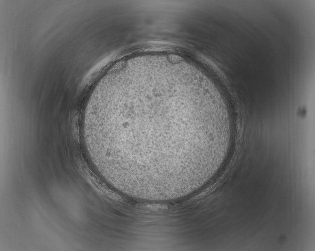 X0000115611403200912221157