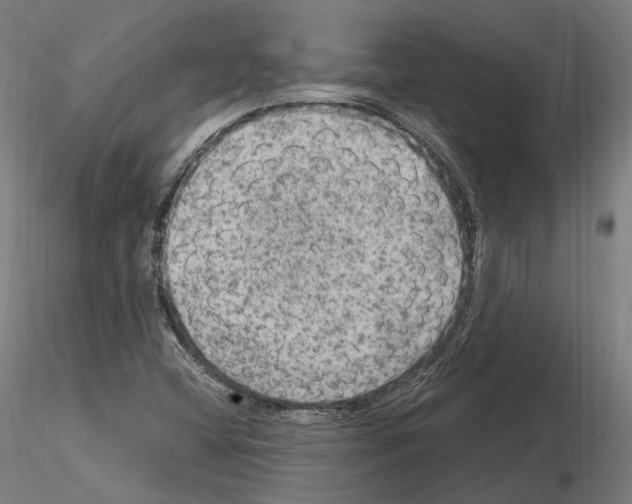 X0000115611404200912221157