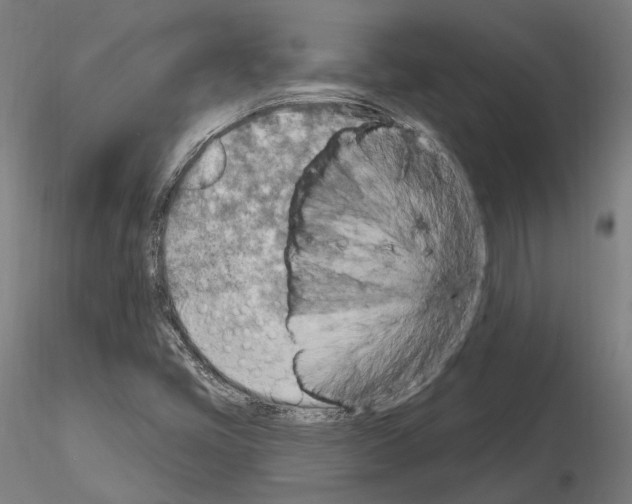 X0000115611405200912221157