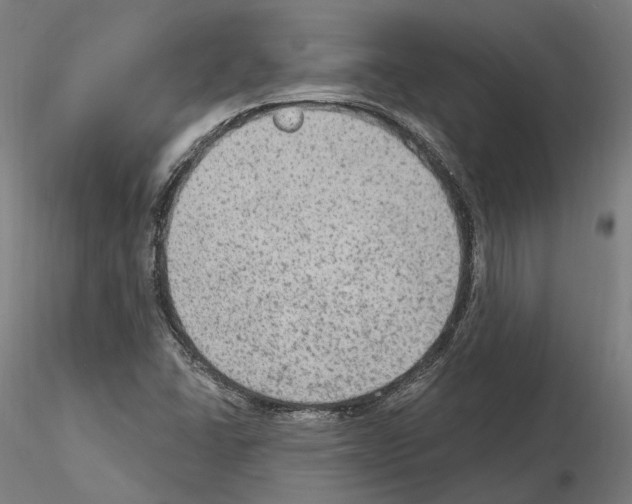 X0000115611406200912221157