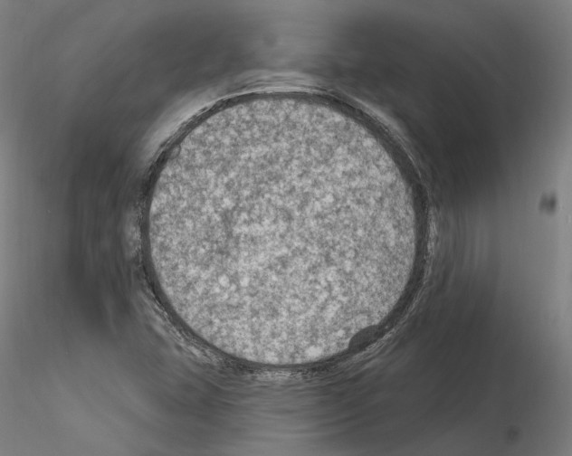 X0000115611407200912221157