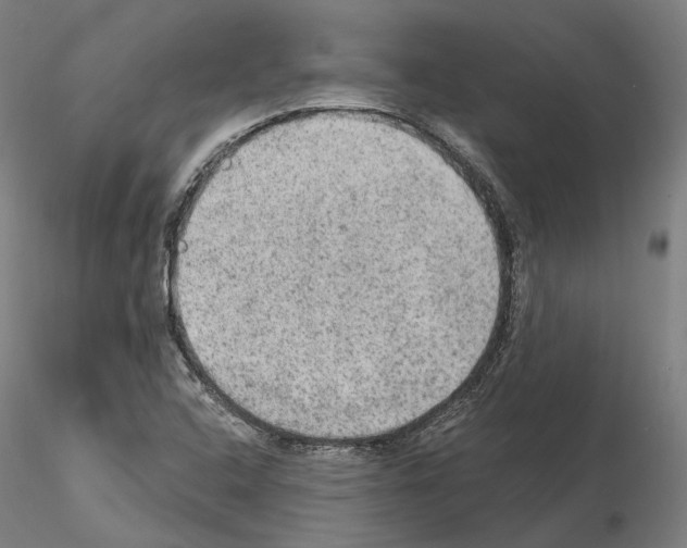 X0000115611408200912221157