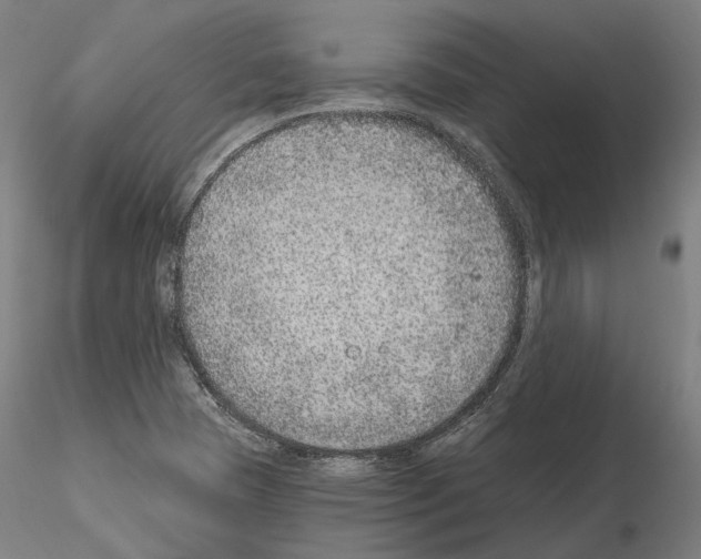 X0000115611409200912221157