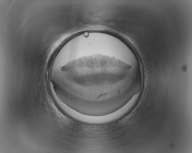 X0000115611414200912221157