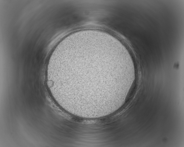 X0000115611415200912221157