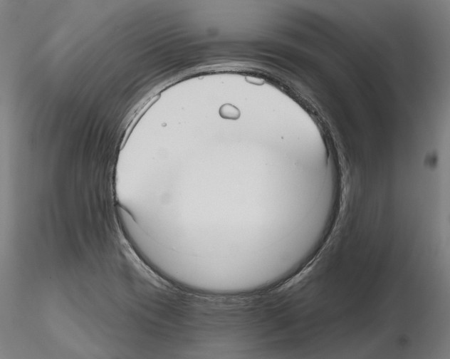 X0000115611417200912221157